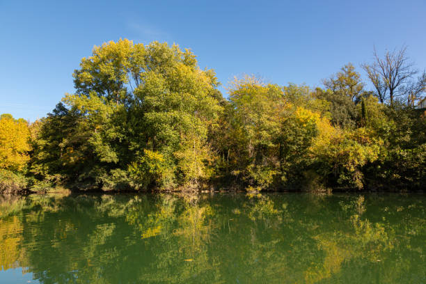 istock Calm river at the time of autumn 1283756678