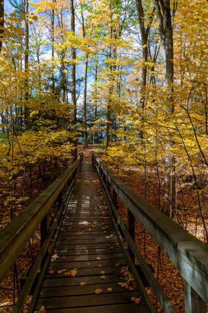 istock Autumn forest pathway at Kortright Centre Conservation, Woodbridge, Vaughan, Canada 1283762136