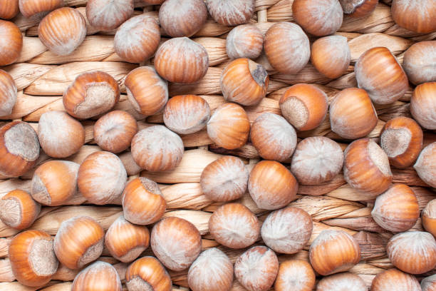 istock Nuts on natural wooden background. 1283763140