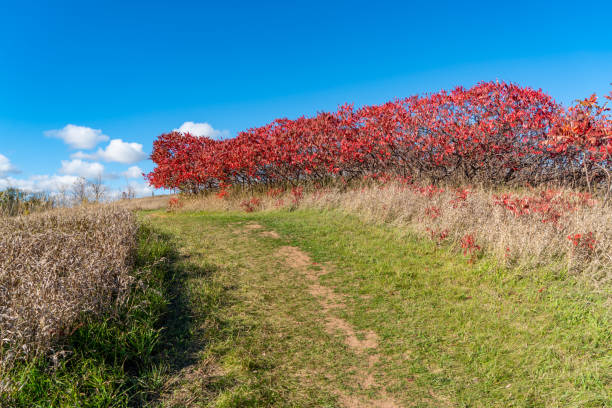 istock Bronte Creek Provincial Park in Autumn, Oakville, Canada 1283766434