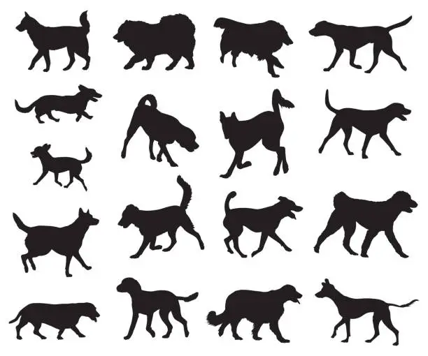 Vector illustration of Dogs Walking and Running Silhouettes