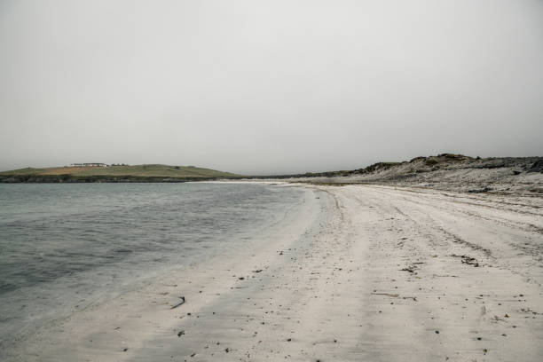 반나 민 비치에서 추운 안개 아침 - shetland islands north sea beach sea 뉴스 사진 이미지