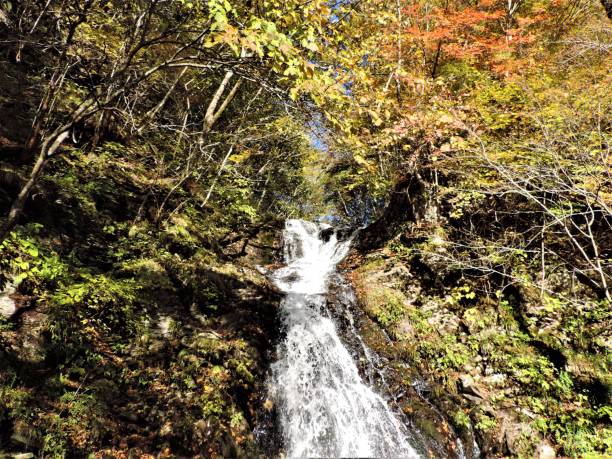 日本。10 月。白滝は日光国立公園の美しい滝の一つです。 - water beauty in nature waterfall nikko ストックフォトと画像