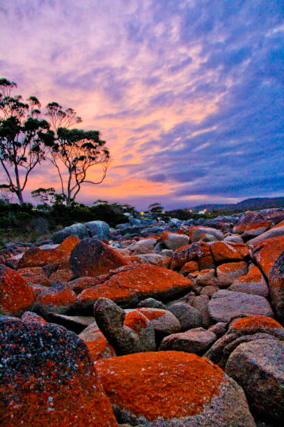 istock Bay of Fires, Tasmania, Australia 1283774363