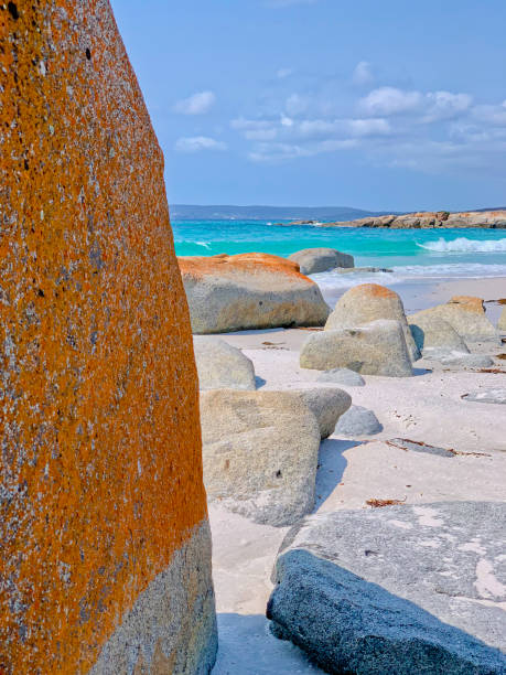 istock Bay of Fires, Tasmania, Australia 1283774368