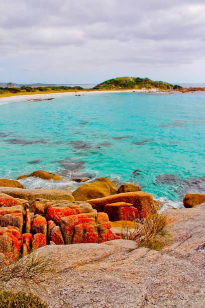 istock Bay of Fires, Tasmania, Australia 1283774441