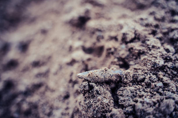 istock Closeup View of the Shot Bullet with Ballistic Marks in Sands - Blurred pattern for Background, Vintage Film Look 1283774678