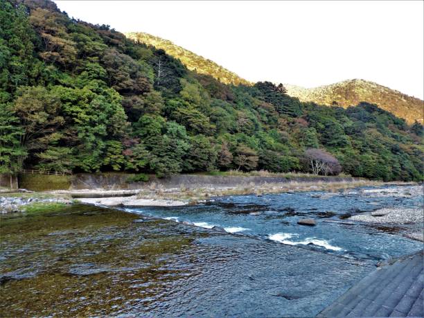 istock japan. October. Mountain river in the light of the setting sun. 1283774711