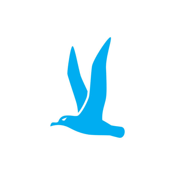 ilustrações de stock, clip art, desenhos animados e ícones de albatross bird icon design template vector isolated illustration - albatross
