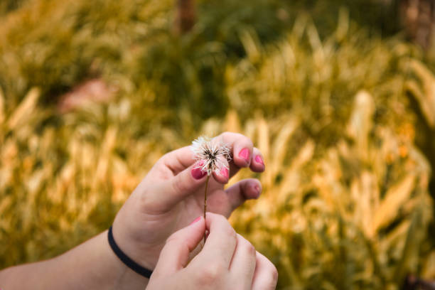 istock girl holding dandelion 1283779461