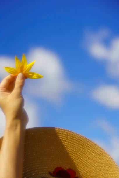 istock woman in sunflowers 1283781762