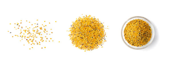 bienenpollen, perga, blumenpollenkörner oder bienenbrot - pollen grain stock-fotos und bilder