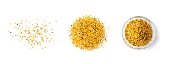 Bee Pollen, Perga, Flower Pollen Grains or Bee Bread