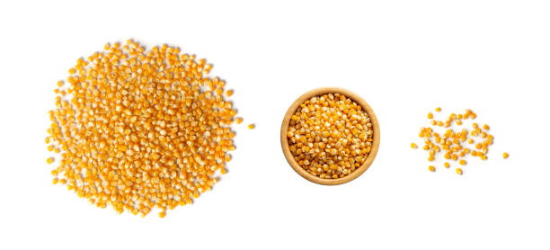 istock Heap of Raw Popcorn Grains Isolated on White Background 1283783223
