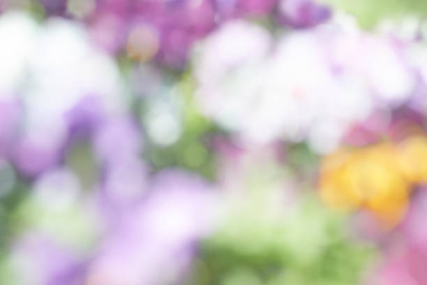 Bluebell abstract