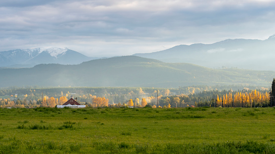 Landscape of a red barn sitting in the distance among golden fall trees against the Olympic mountain range softly in the background and grass field in foreground with clouds in the sky