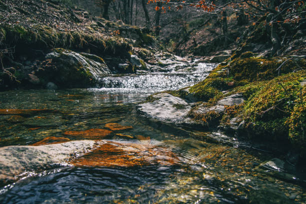 une rivière qui coule entre les roches moussées - gurgling photos et images de collection