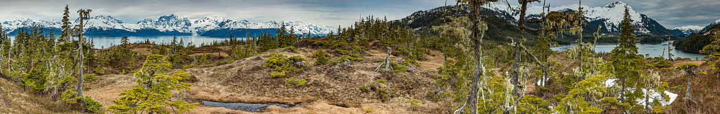 View from the area of Esther Island, looking toward the Barry Arm of Harriman Fiord, Chugach National Forest, Prince William Sound, Alaska. Cascade Glacier in the distant backround.