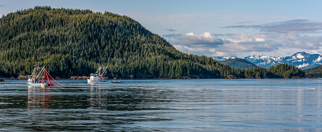 Purse Seine Salmon Fishing in Prince William Sound Alaska. Fishing for pink salmon.