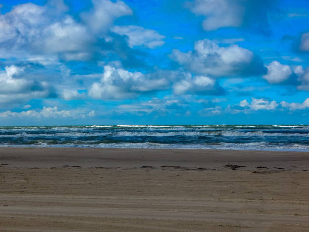istock On the North Sea beach in Denmark 1283798602