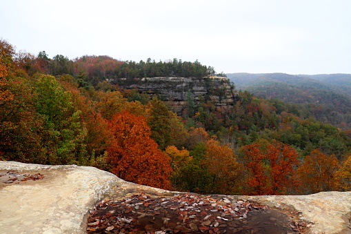 Autumn scenery in the Red River Gorge.