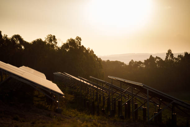 istock Solar panels on a solar farm at sunset 1283803899