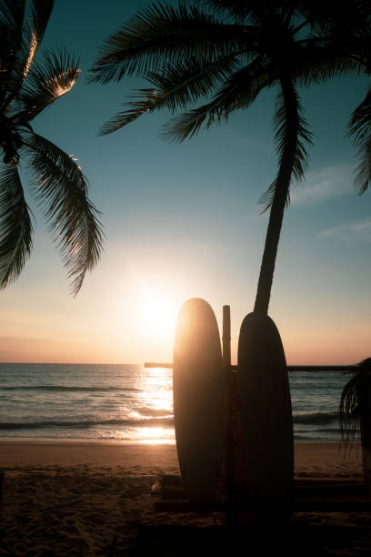 istock Surfboards beside coconut trees at summer beach with sunset light background. 1283808184