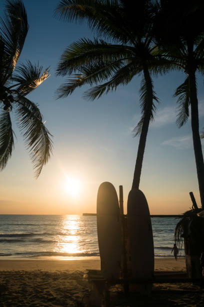 istock Surfboards beside coconut trees at summer beach with sunset light background. 1283808188
