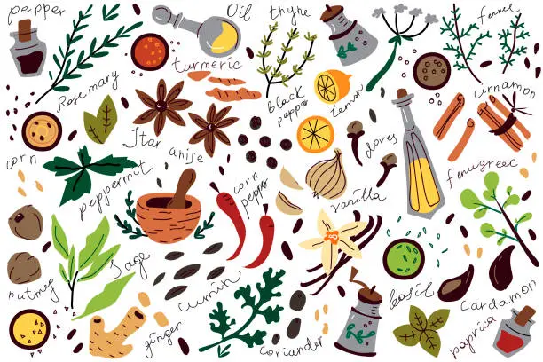 Vector illustration of Spices doodle set