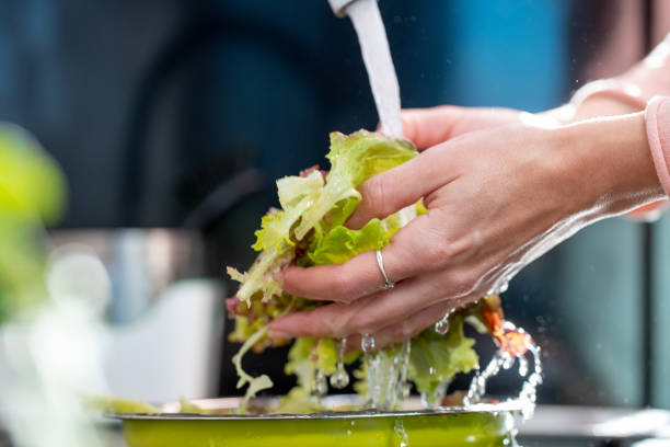 istock Washing lettuce under the running water 1283815070