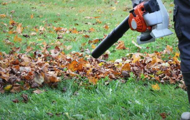 Worker cleaning falling leaves in autumn park. Man using leaf blower for cleaning autumn leaves. Autumn season. Park cleaning service. stock photo