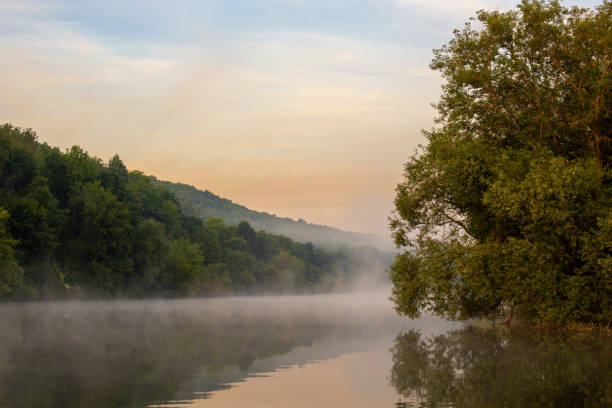 istock floating fog on summer river with tree over water 1283817183