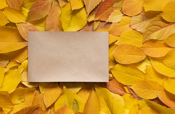 istock Craft paper sheet on autumn background 1283819867