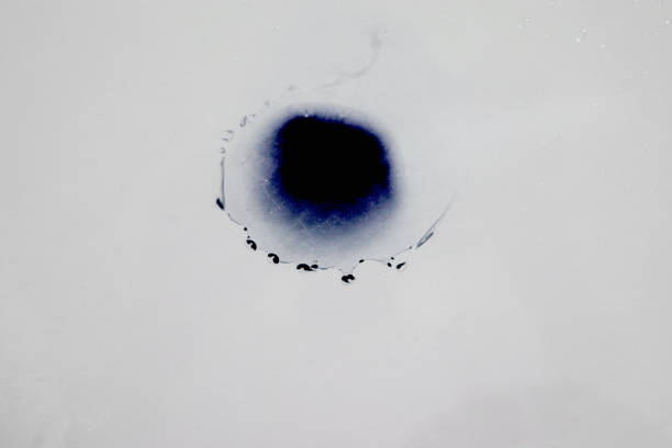 istock Abstract ink background. watercolor ink drops on white paper. black circle organic flow expanding alcohol ink technique . Marble style. Black paint stroke texture  Macro image 1283820030