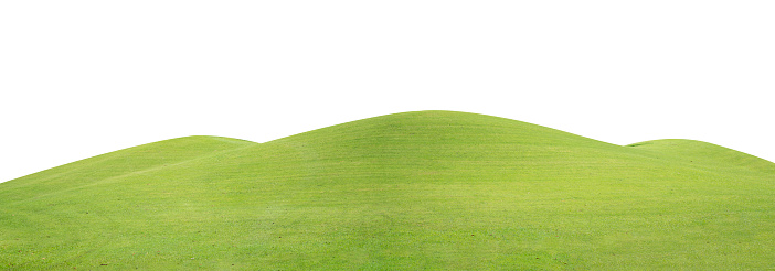 Isolated on white. Landscape shot of beautiful morning light in public park with green grass field.