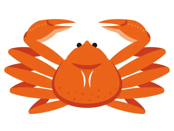 Vector illustration of Simple crab illustration on white background