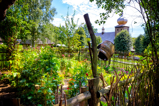 Very small cottage and garden (kailyard )     in Hannover     - good day in September and a small greenhouse\nVegetables-  sunflowers!