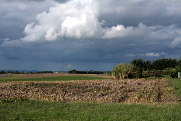 istock AGRICULTURAL LANDSCAPE OVERCASTING SKY 1283827297