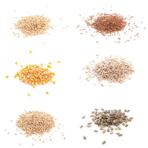 istock Row healthy grain food isolated on white background 1283827329