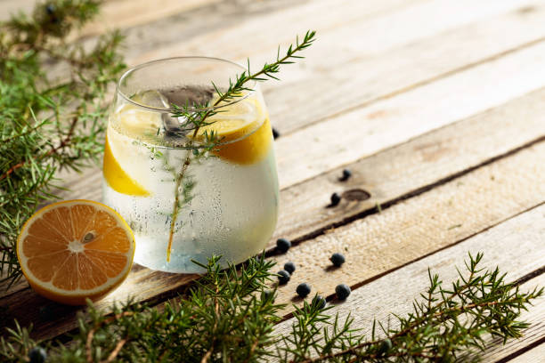 istock Alcohol drink (gin tonic cocktail) with lemon, juniper branch, and ice on rustic wooden table. 1283828180