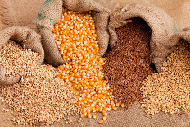 istock Sacks full of grains and cereals spilled on table 1283828339