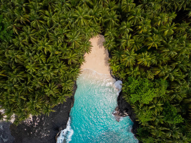 istock Drone View Sao Tome & Prince Beach Battery 1283828361