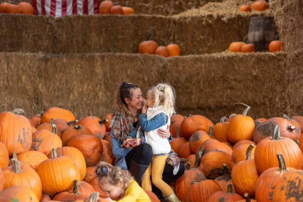 istock Full Frame Shot Of Pumpkins In Farm 1283829845
