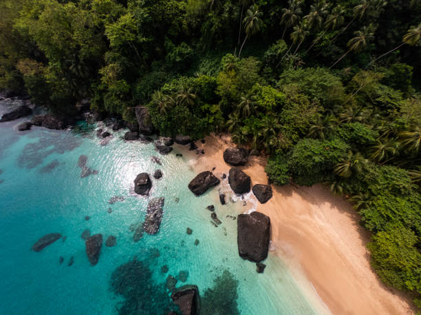 дрон вид сан-томе и принц банана бич - sao tome and principe стоковые фото и изображения