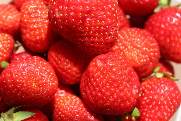 istock Fresh, juicy strawberries on white background 1283833018
