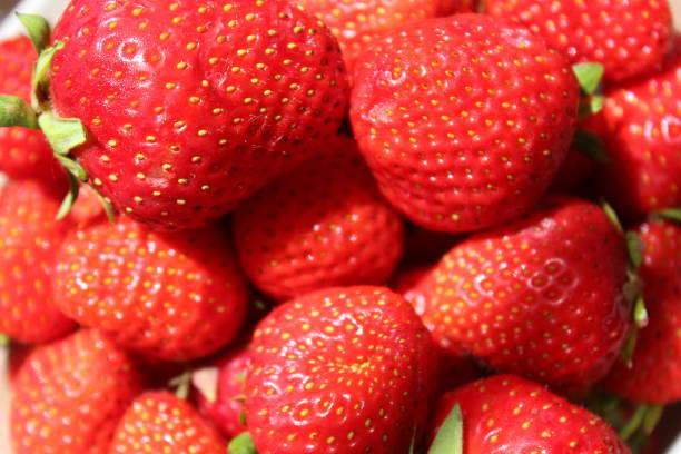 istock Yummy, fresh strawberries in macro on background 1283833311
