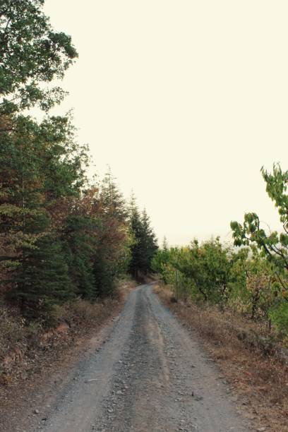istock Hiking road during the autumn season 1283833346