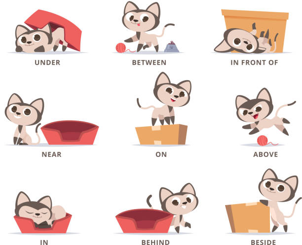 Learning English Prepositions Preschool Grammar Cute Kitty Playing With Box  Prepositions On Above Under Near In And On Vector Set Stock Illustration -  Download Image Now - iStock