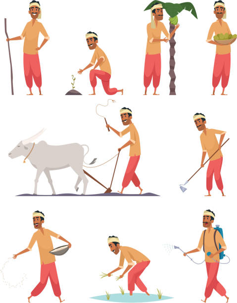 illustrations, cliparts, dessins animés et icônes de moissonneuse indienne. agriculteur humain dans le bangladesh buffle récolte du sol les gens vecteurs - agriculture farm people plow