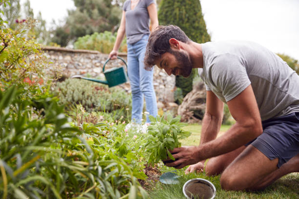 istock Couple Working Outdoors In Garden At Home Digging And Planting 1283835024